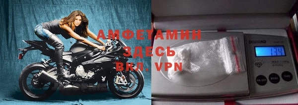 индика Вязьма
