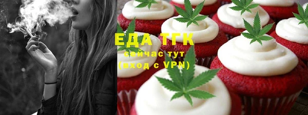 индика Вязники
