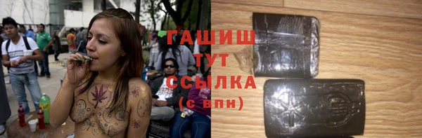 индика Вязьма