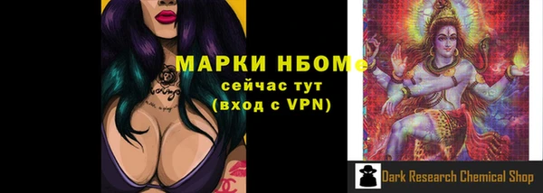 индика Вязьма