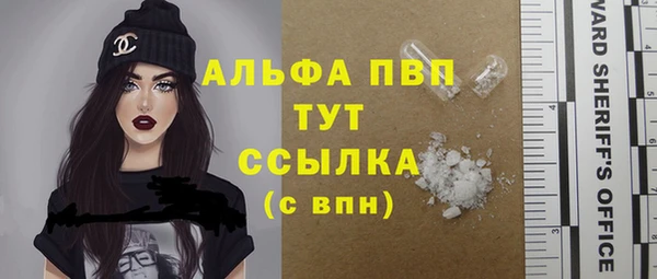 индика Вязники