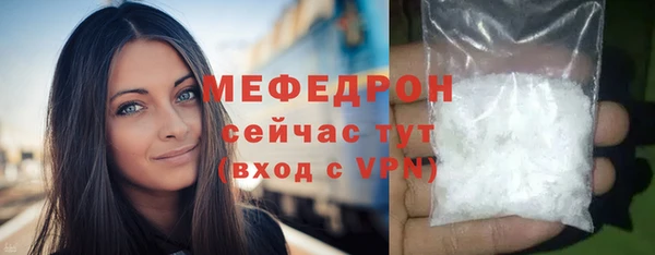 индика Вязники