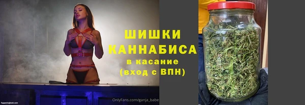 индика Вязники