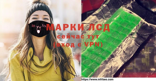 индика Вязьма