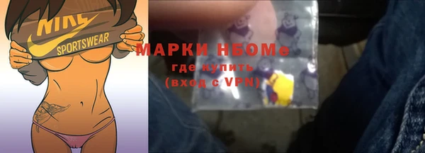 индика Вязьма