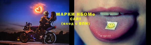 индика Вязники