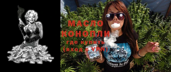 индика Вязники