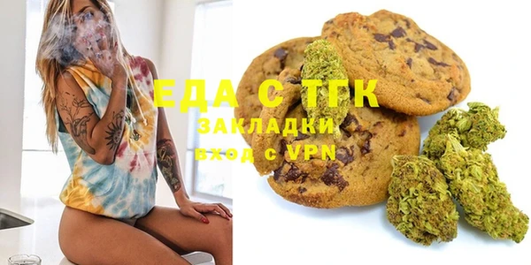 индика Вязники