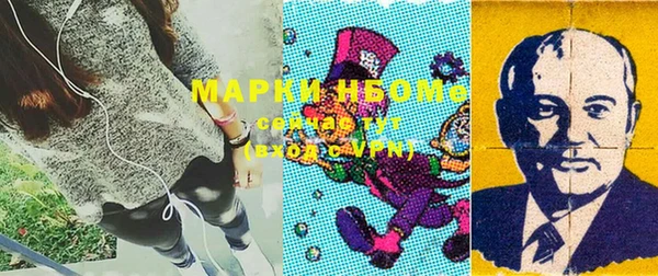 индика Вязники
