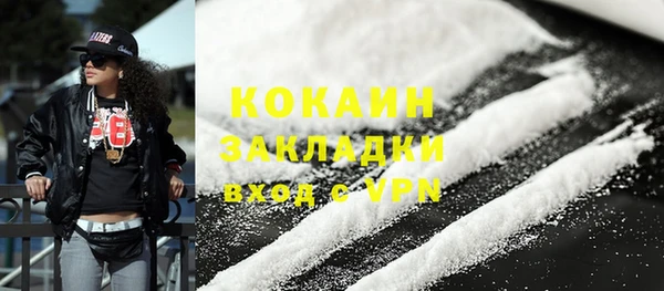 индика Вязники