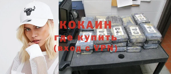 индика Вязьма