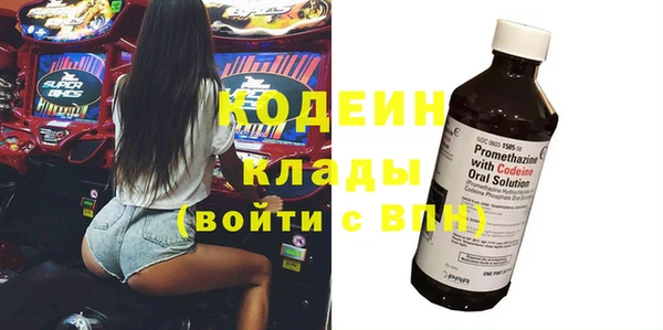 индика Вязьма