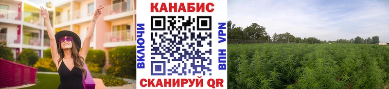Бошки марихуана индика  Купить закладки  Каневская 